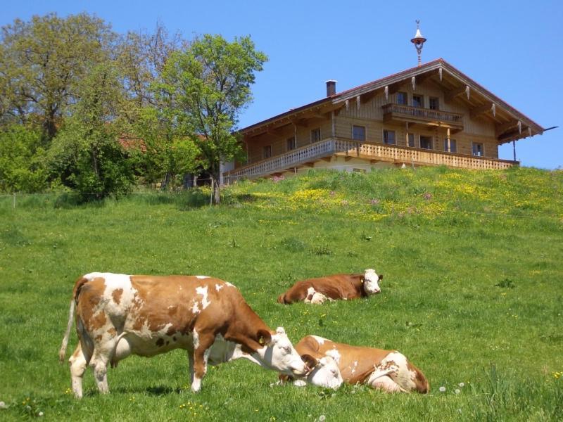 Huberbauernhof Ferienwohnungen Piding Exteriér fotografie