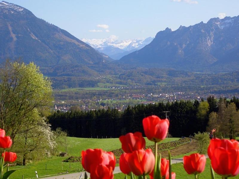 Huberbauernhof Ferienwohnungen Piding Exteriér fotografie