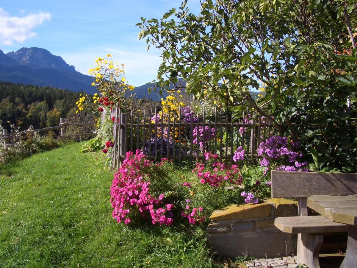 Huberbauernhof Ferienwohnungen Piding Exteriér fotografie
